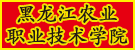 星空互娱游戏平台官方网站入口说明